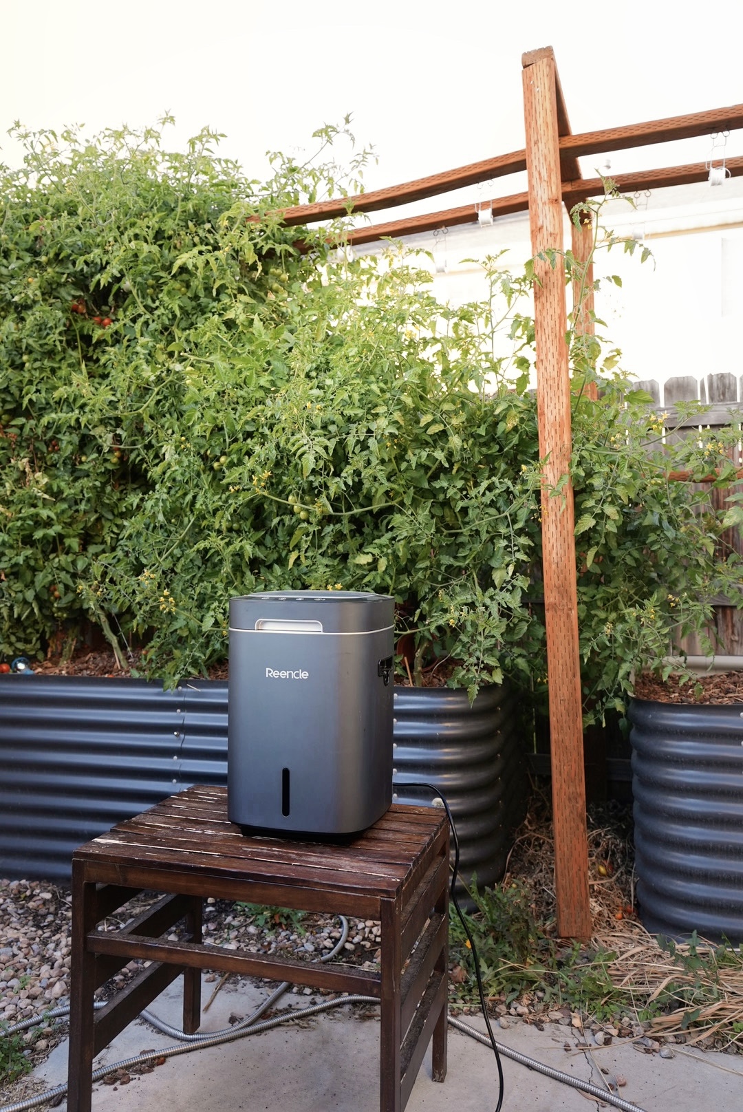 Summer Garden Update (2024)