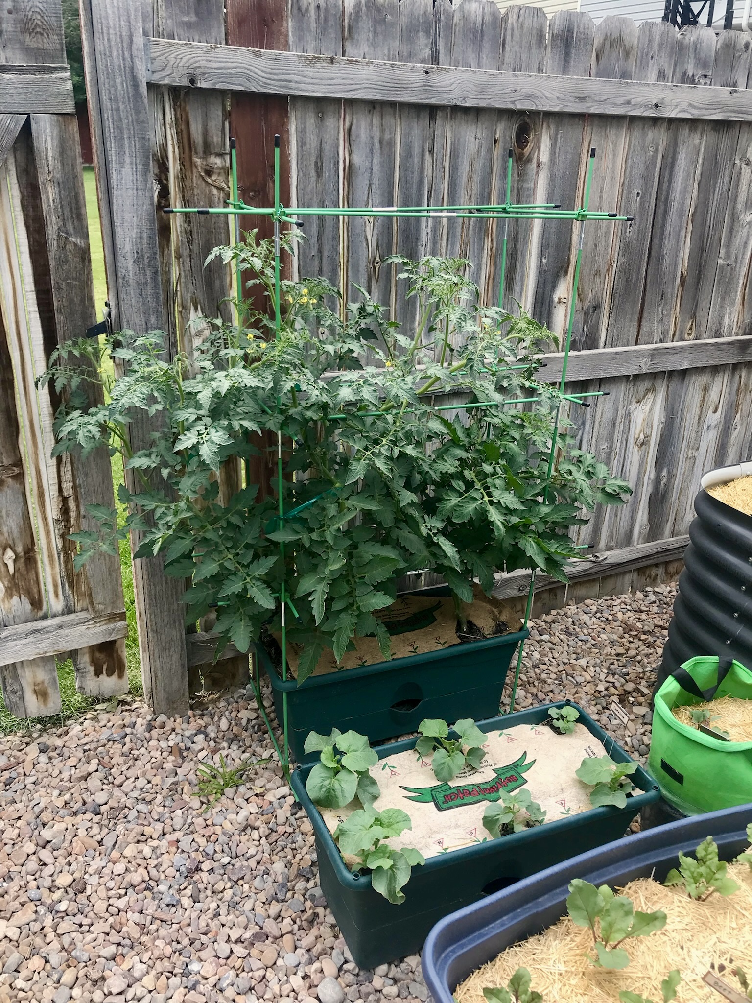 Garden Patch Grow Box: Benefits, Tips, and How to Maximize Your Space