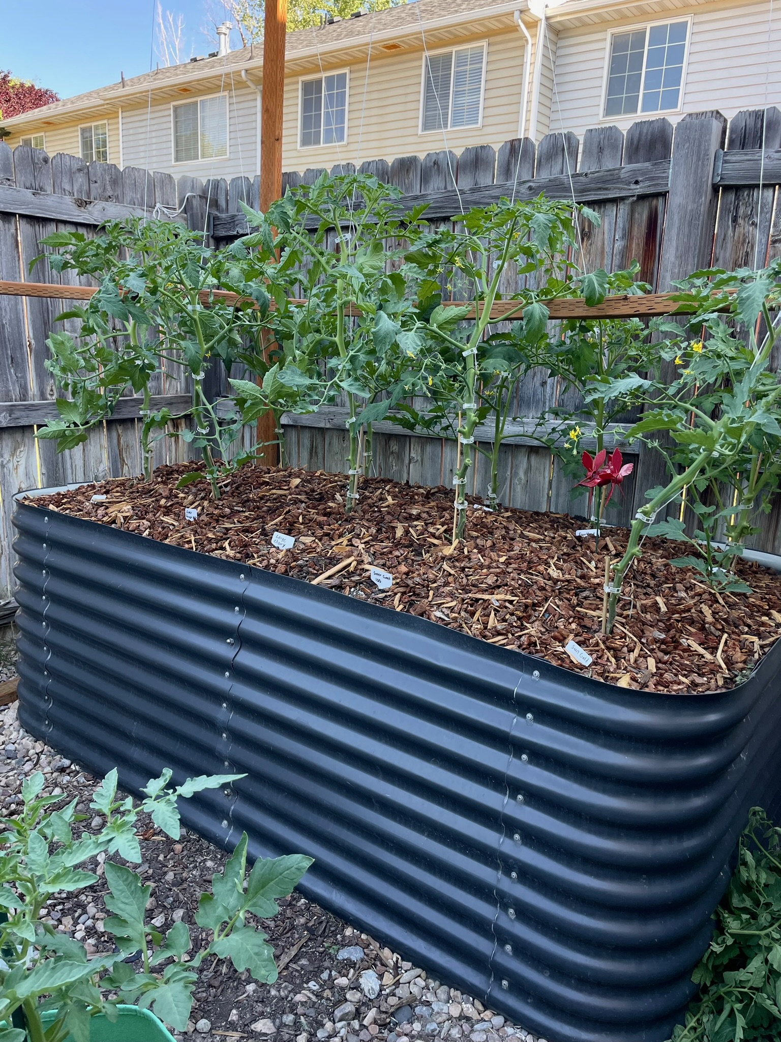 The Benefits of Hügelkultur Raised Beds for Gardening