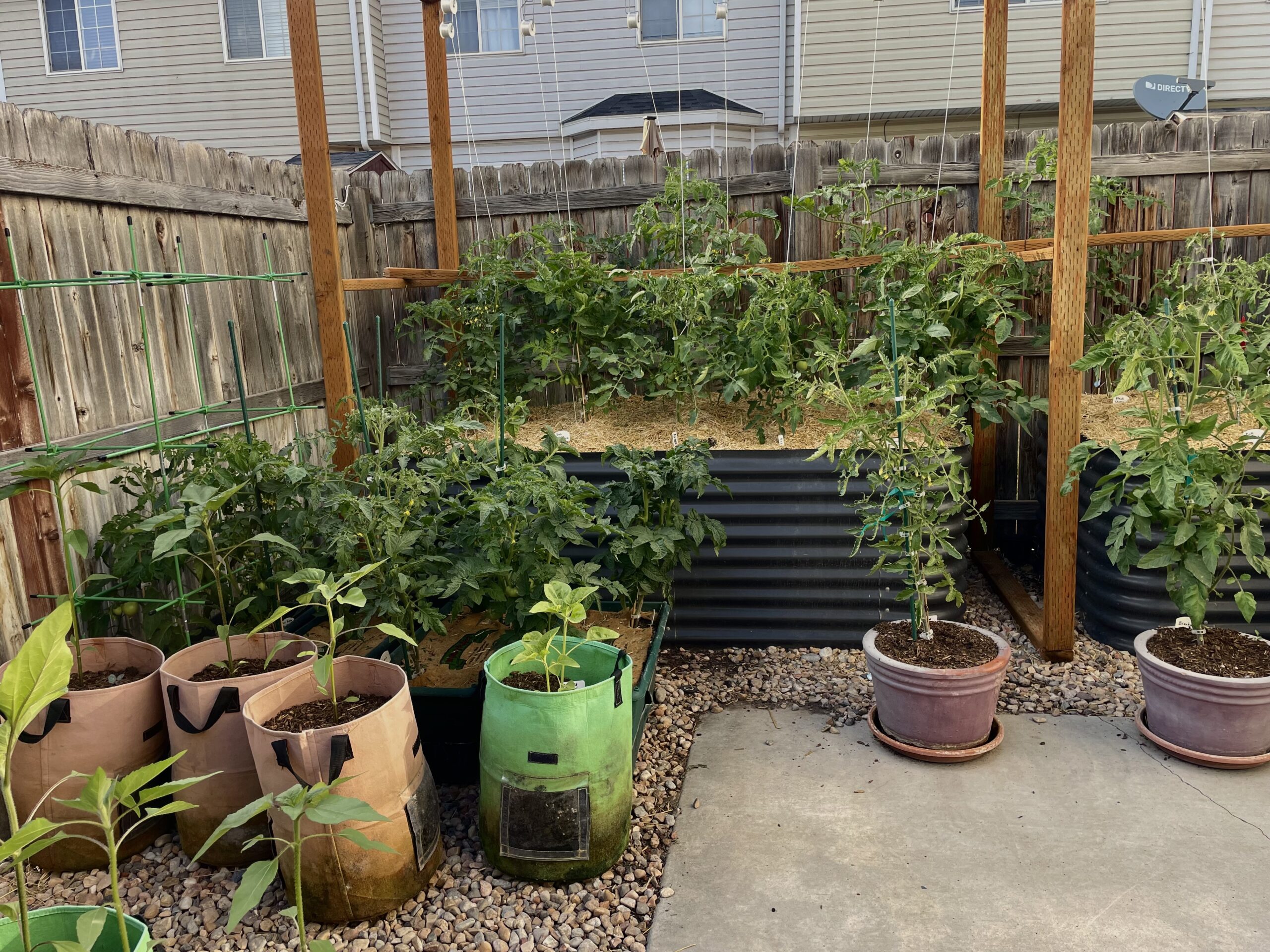 How to Amend Your Soil for a Thriving Garden