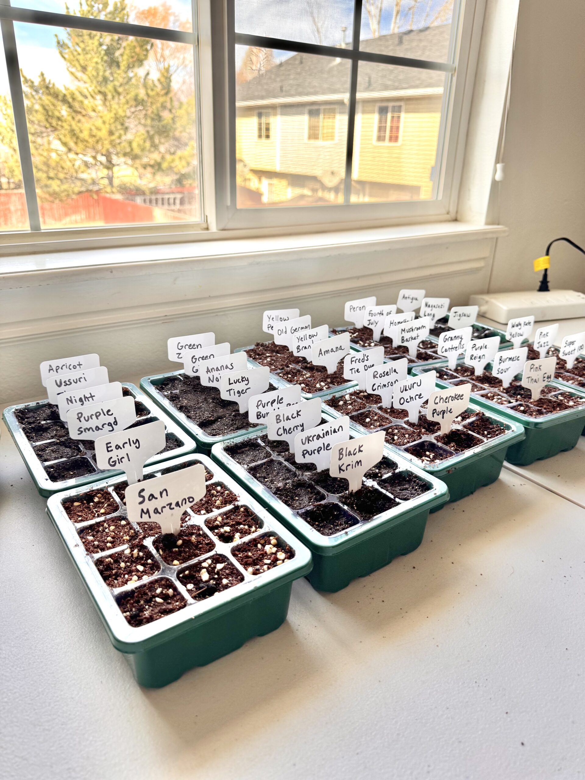Seed Germination Tips: Improve Growth with Seed Soaking and Heat Mats