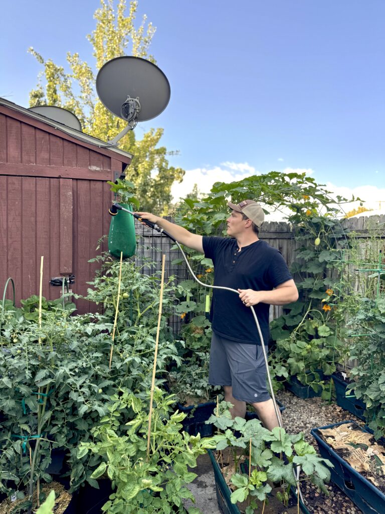 Protecting Your Garden from Wildlife: Deer, Squirrels, and More