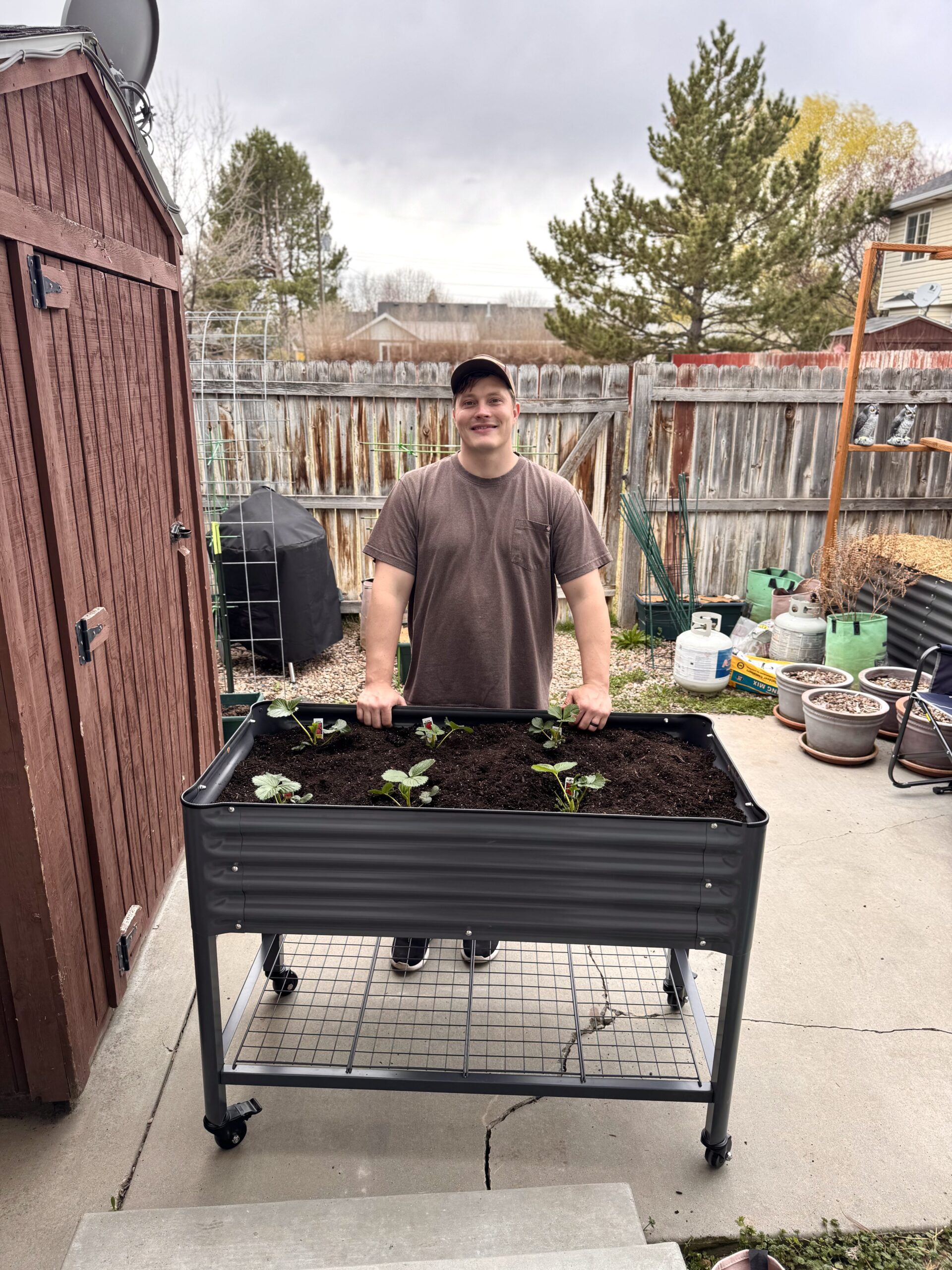My Experience with Vego’s Elevated Garden Bed
