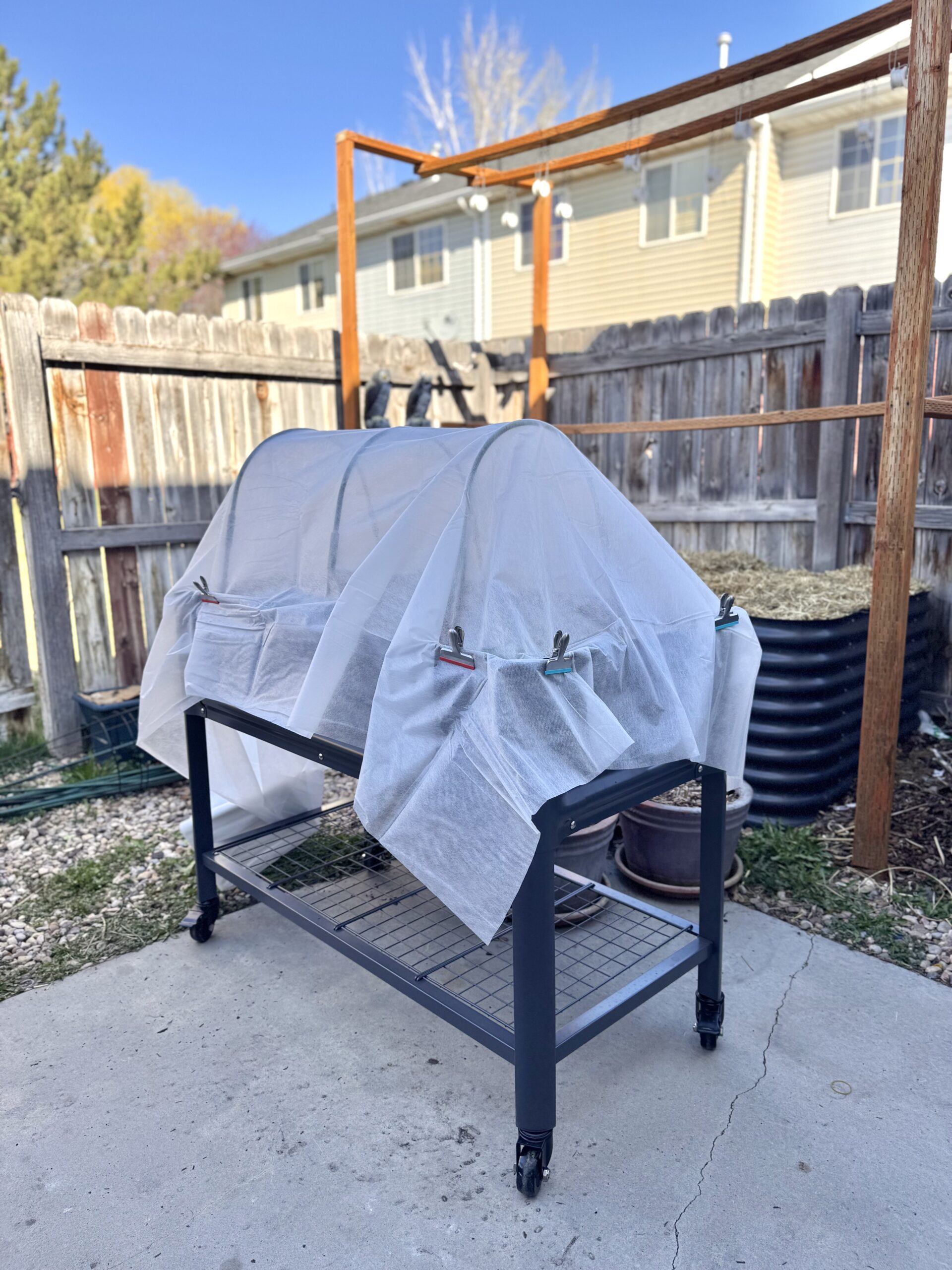 Six Ways to Protect Your Garden from the Frost