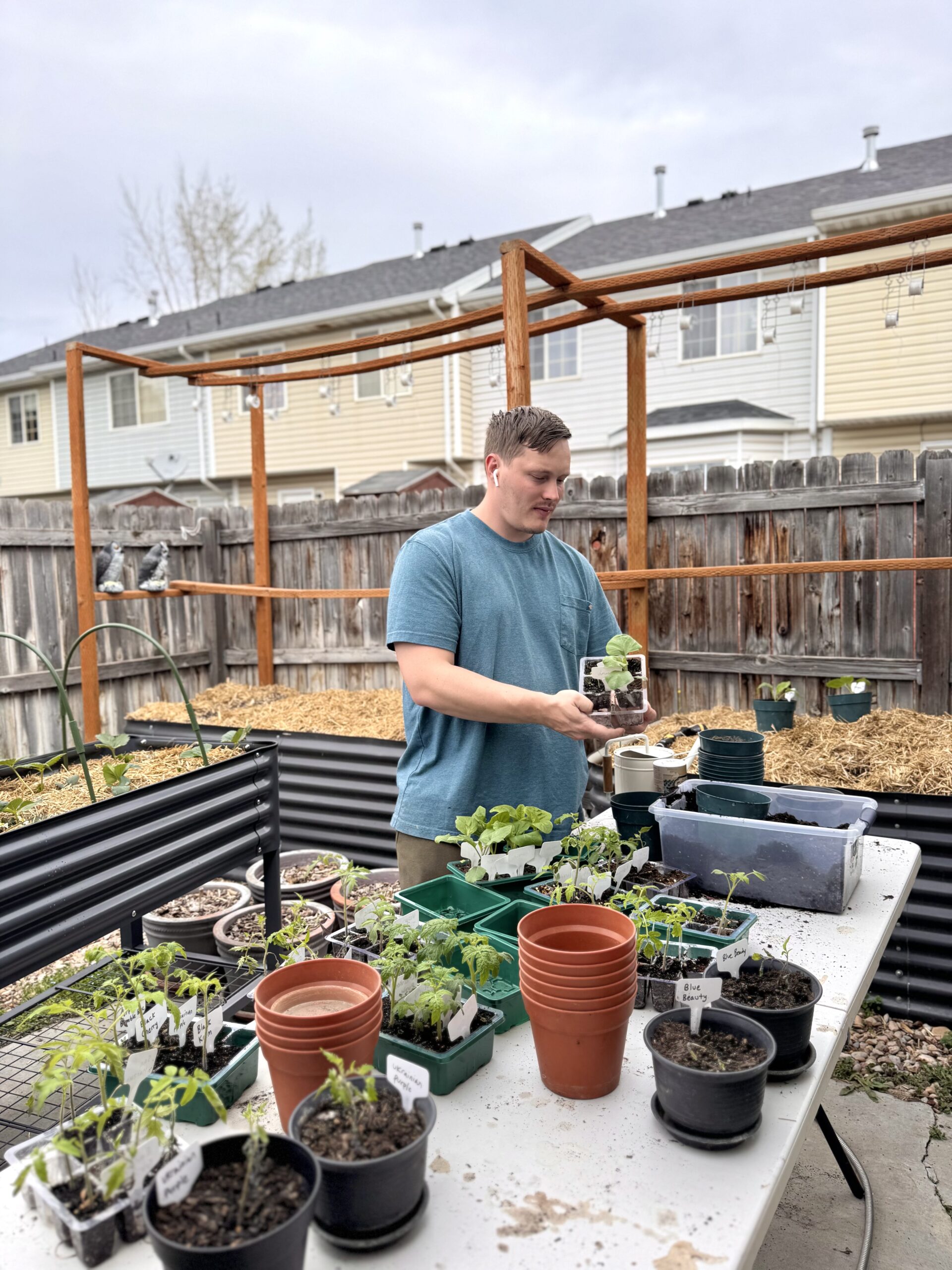 How to Up-Pot Plants: A Step-by-Step Beginner’s Guide
