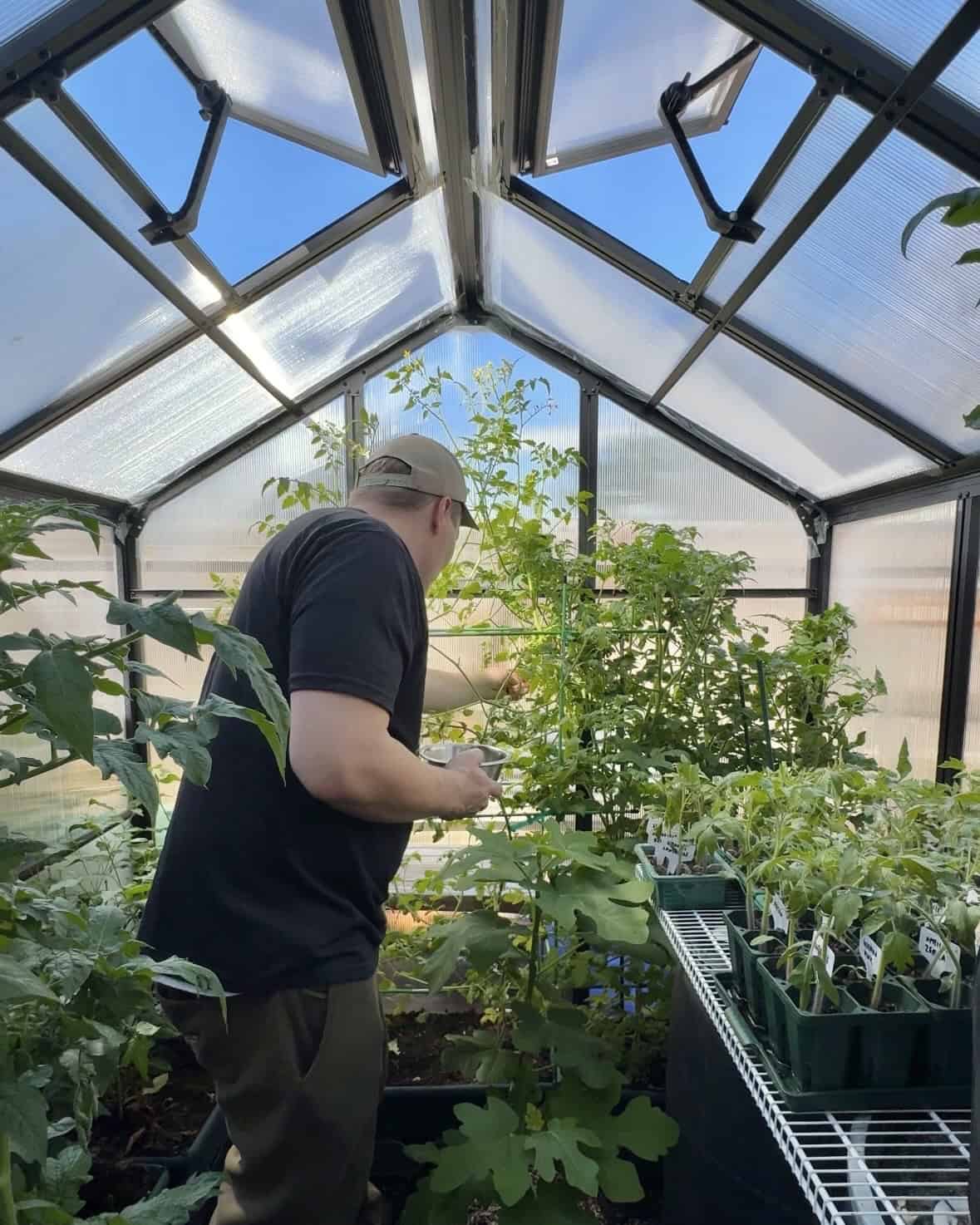 Six Ways to Protect Your Garden from the Frost