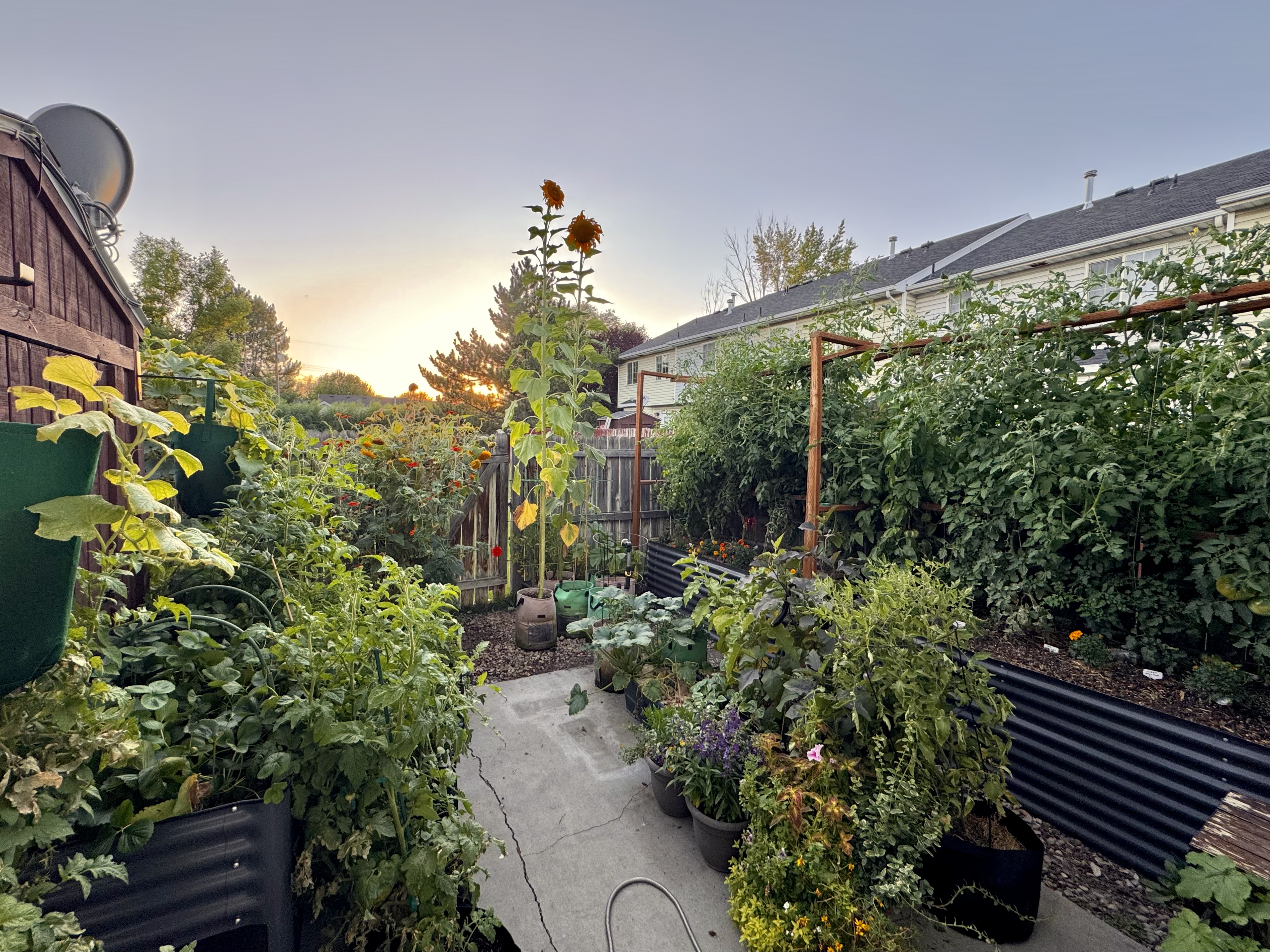 The Benefits of Raised Beds for Gardening (Hügelkultur)