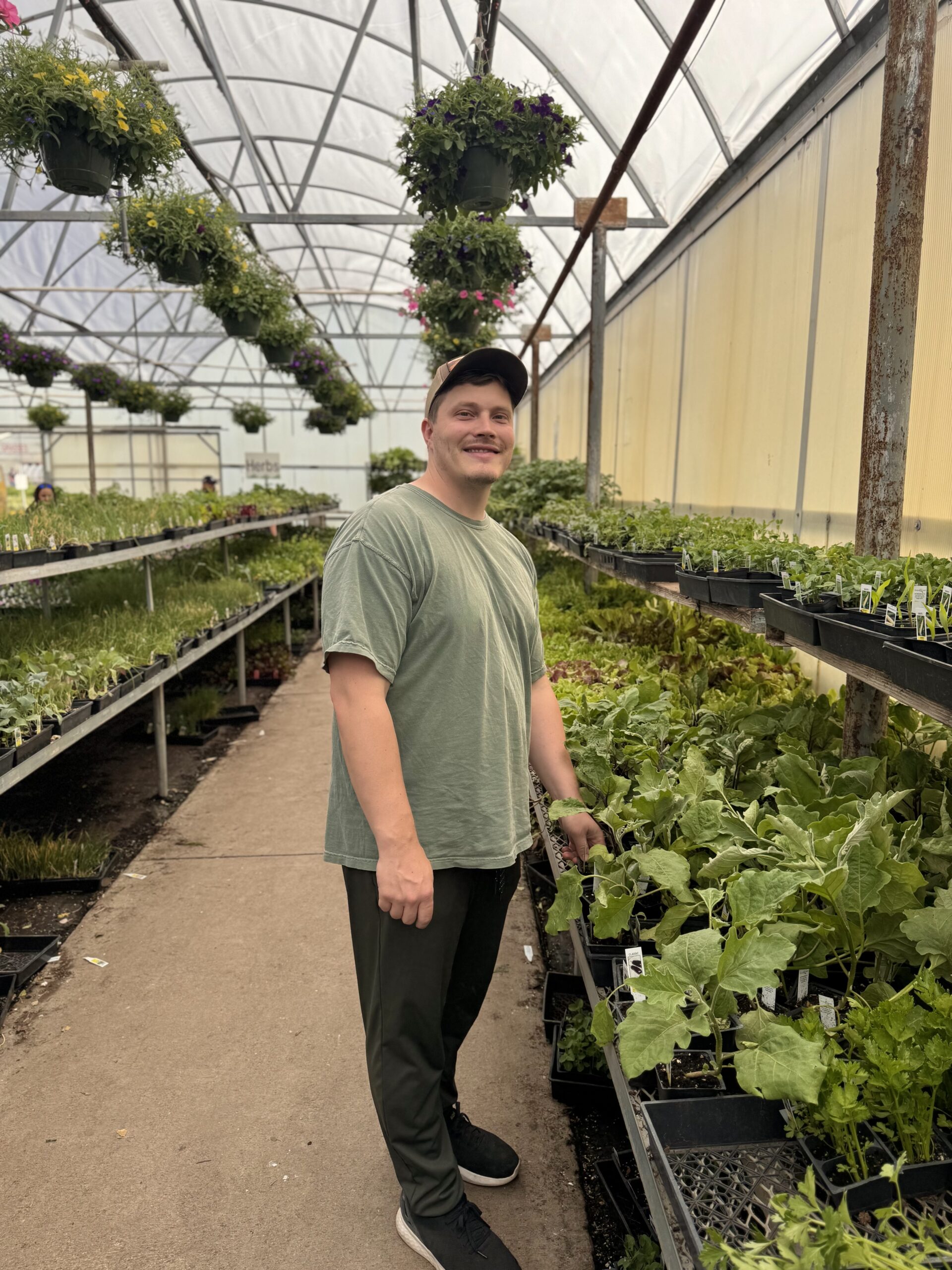 How to Choose the Best Vegetable Transplants for Your Garden