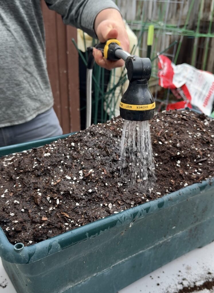 Fertilizing 101: What Your Garden Really Needs to Thrive