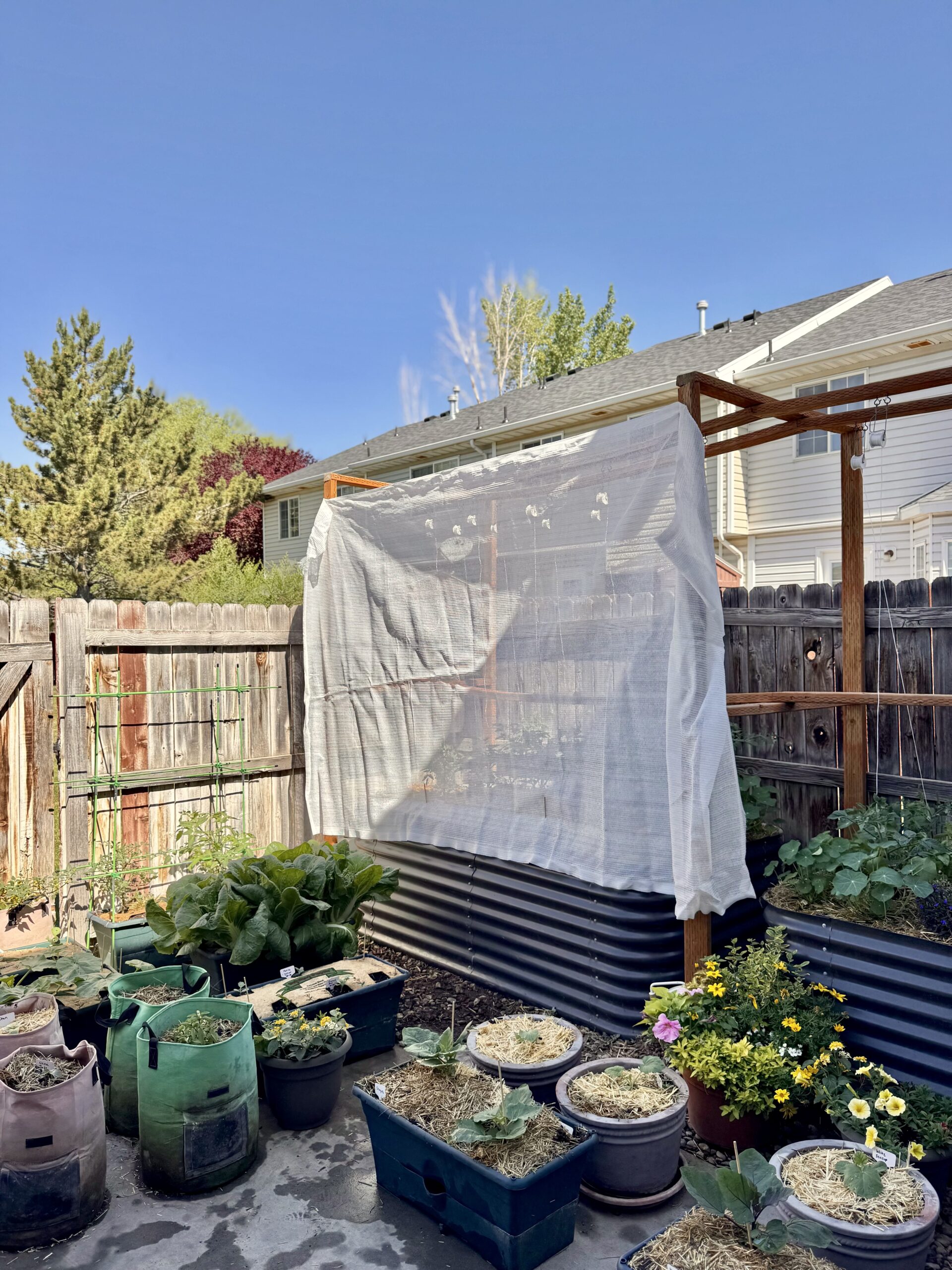Raised garden beds and container plants protected by a white shade cloth structure on a sunny day.