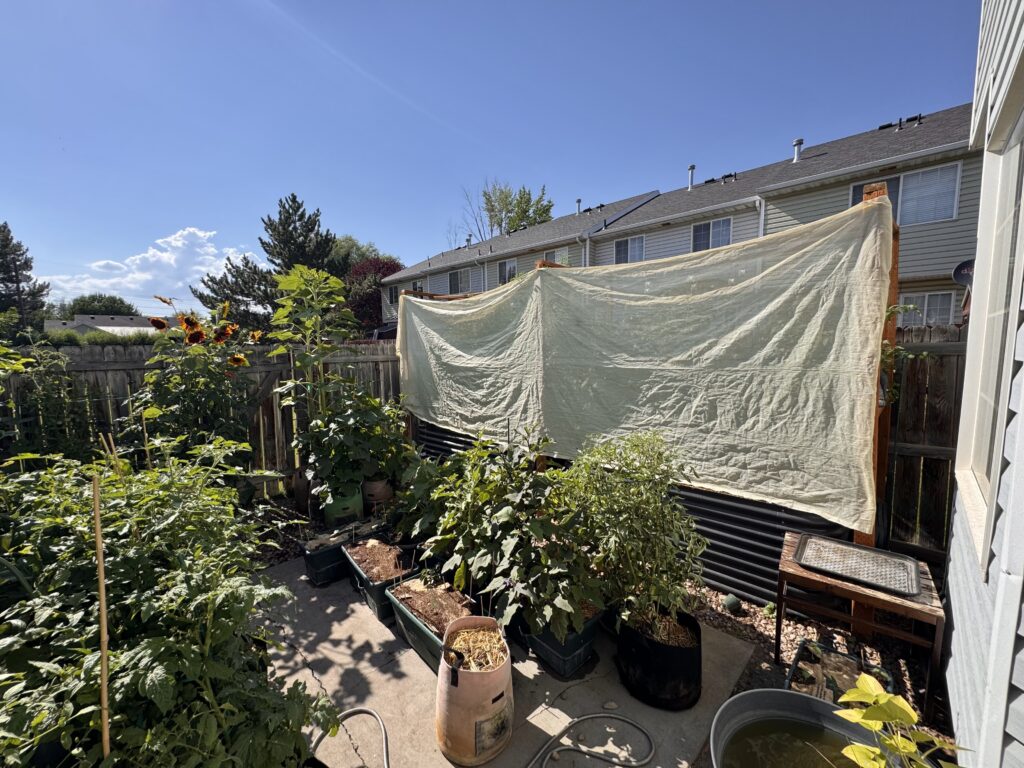 A white shade cloth stretched over a raised garden bed in a backyard, offering filtered sunlight to protect vegetables and extend the growing season.