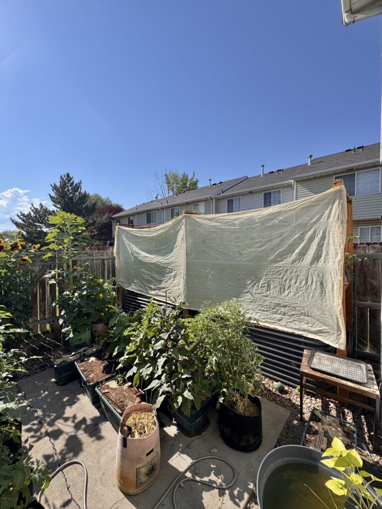 shade cloth One of my favorite and simplest methods for mounting shade cloth is by stapling it directly to my wooden trellis.