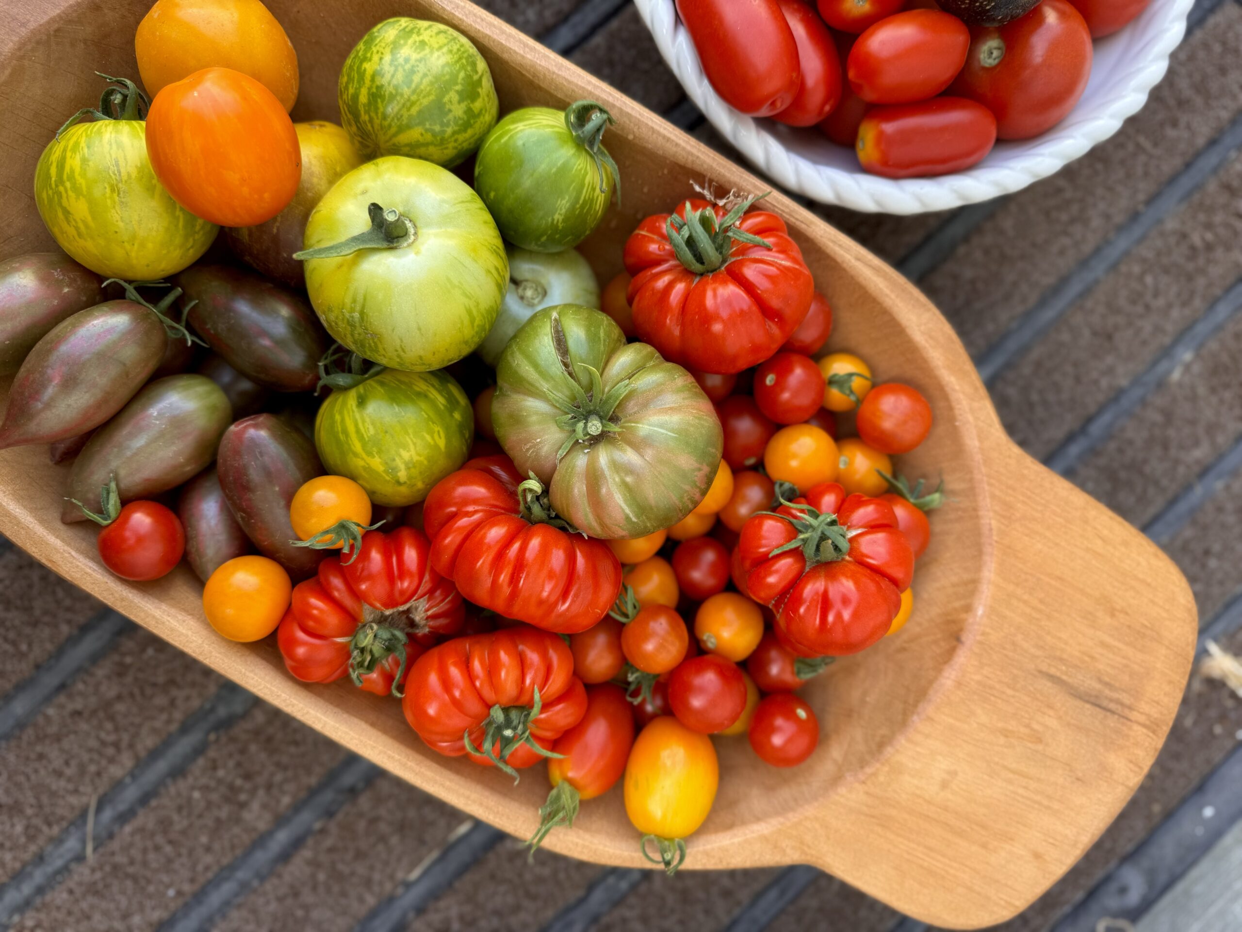 Top Tips for Harvesting Tomatoes
