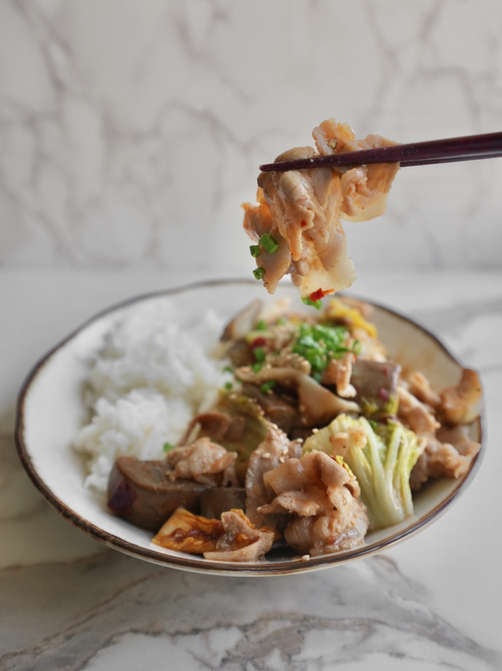 Easy Hoikoro (Eggplant and Pork Stir Fry) Recipe