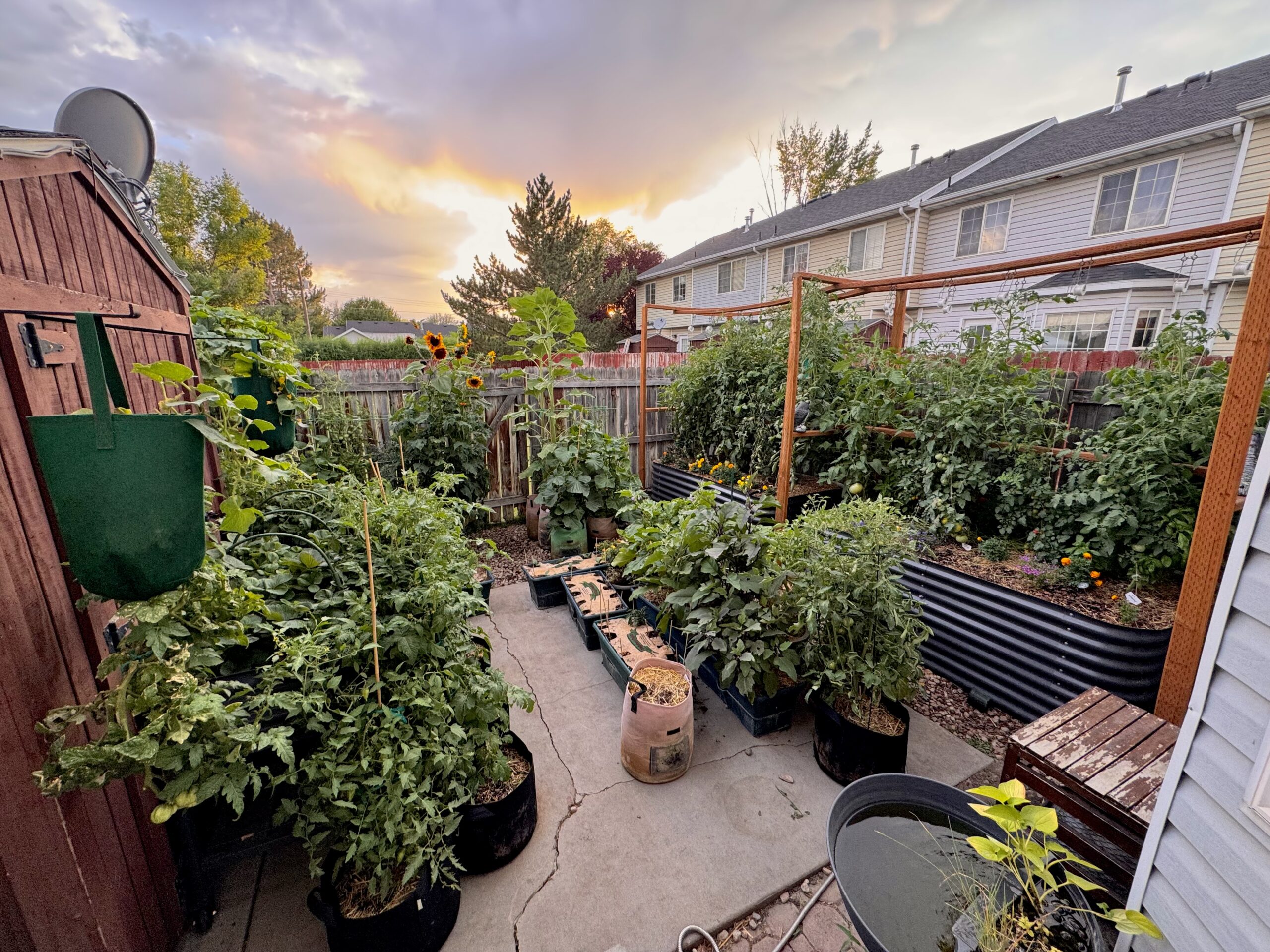 Protecting Your Garden from Wildlife: Deer, Squirrels, and More