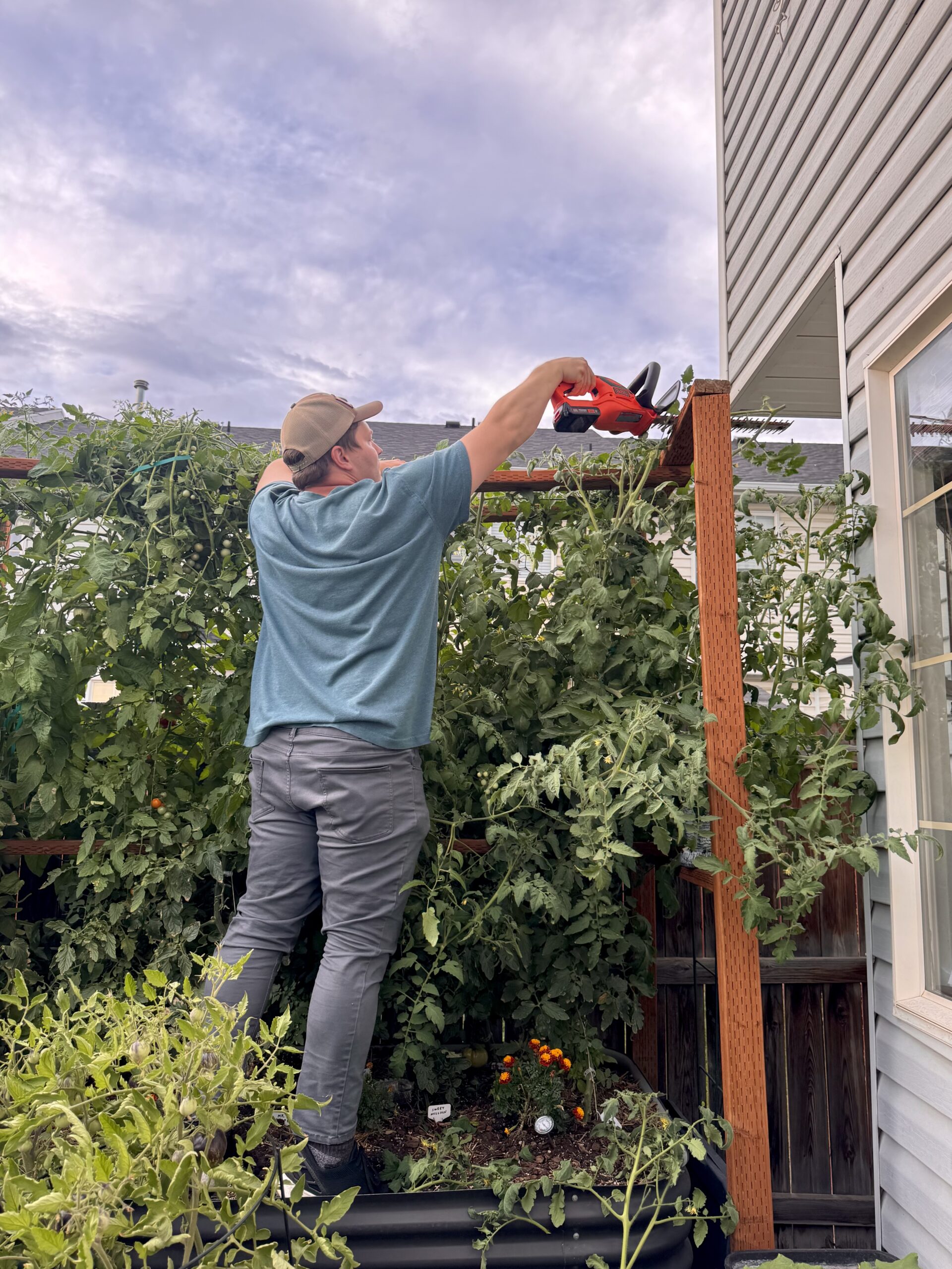 About Deadheading in the Garden