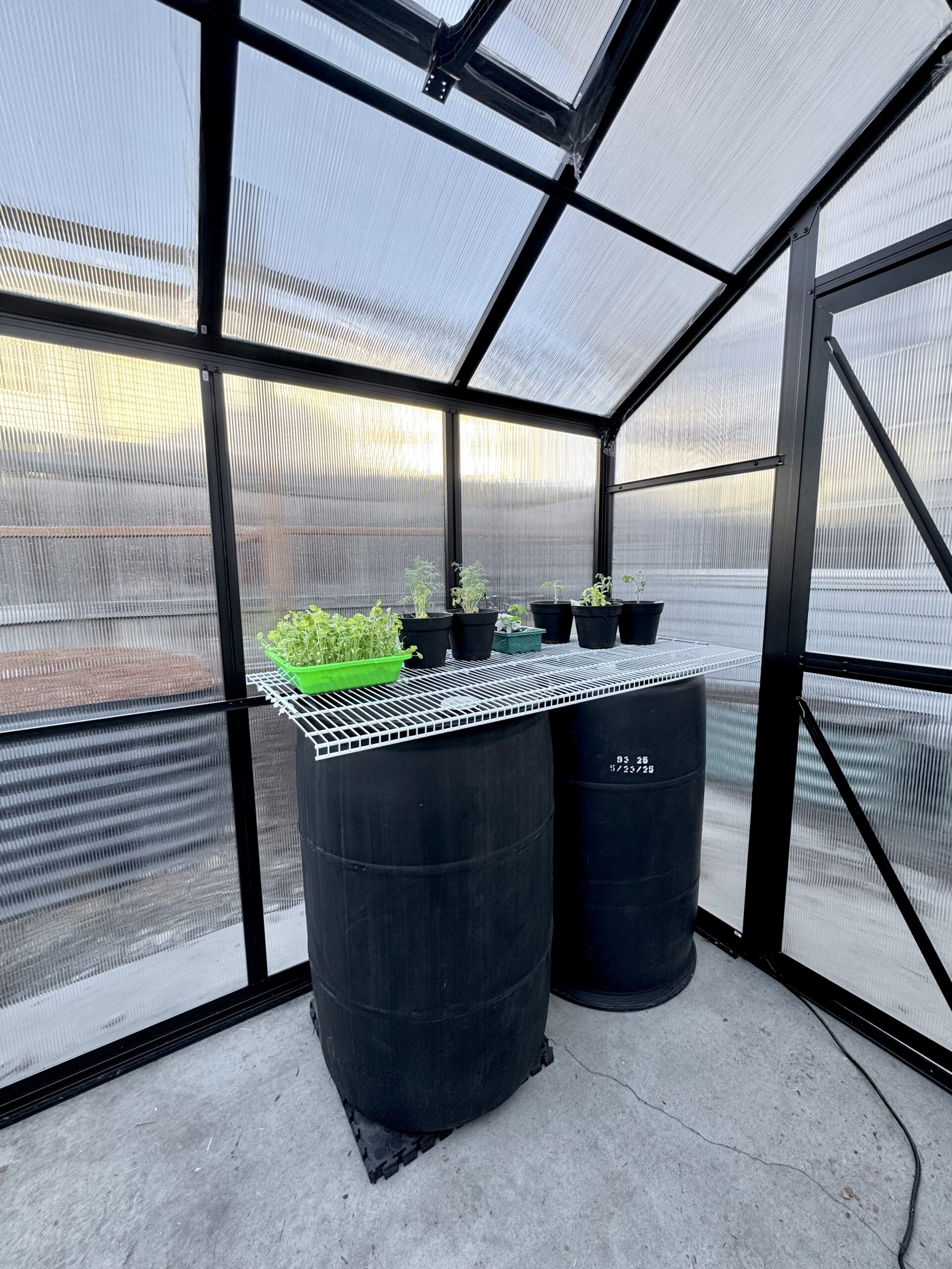 Greenhouse Heating Hack: Black 55-Gallon Drum Table