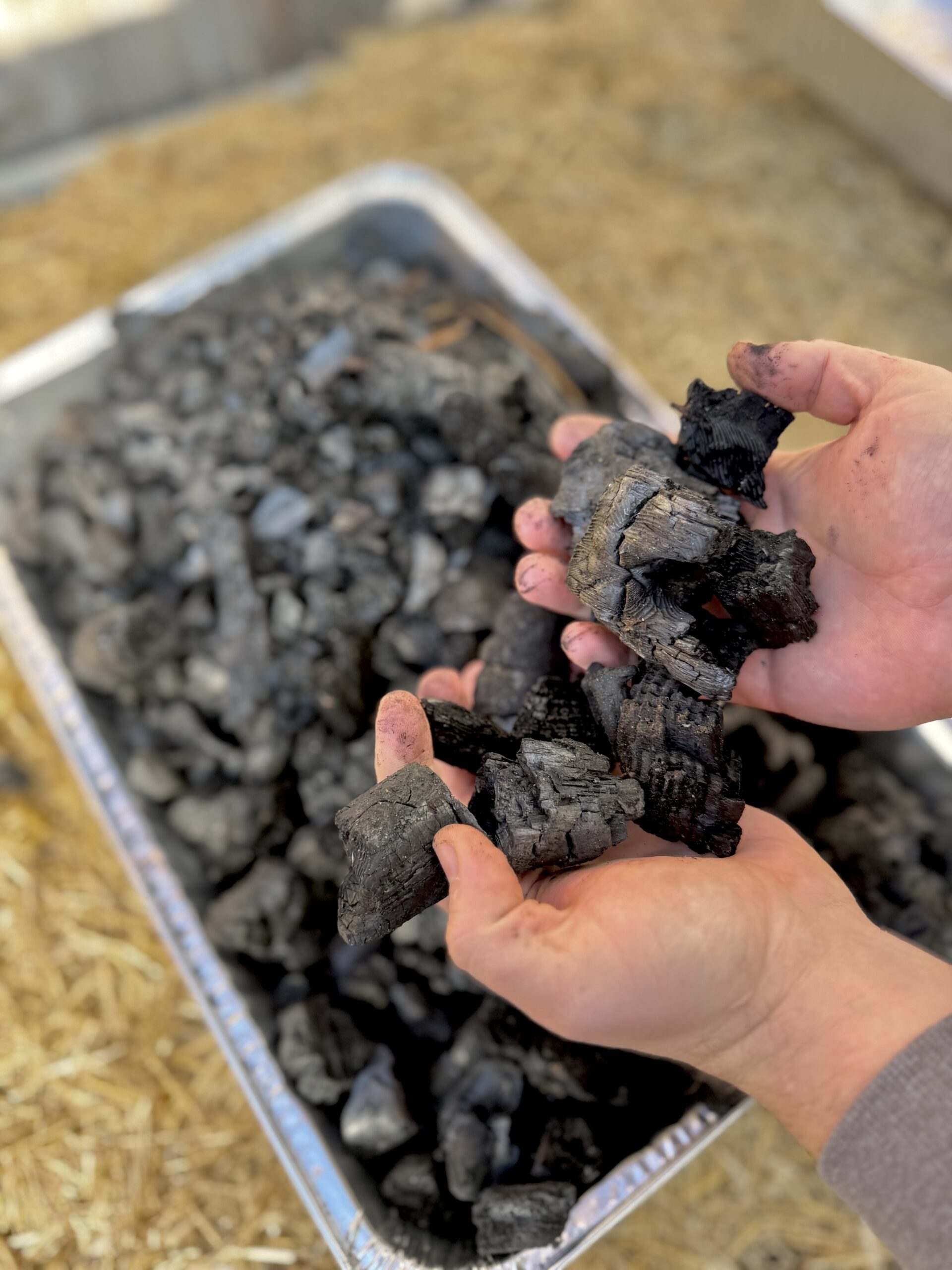 How to Make Biochar for Your Garden