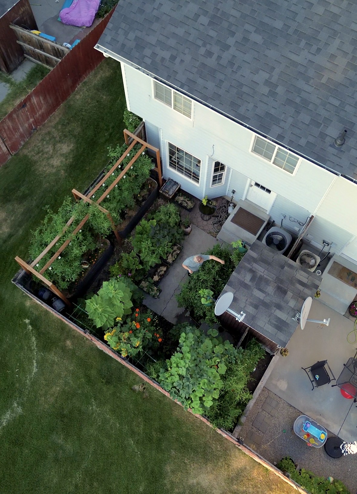 10 Things to Consider When Choosing a Garden Location