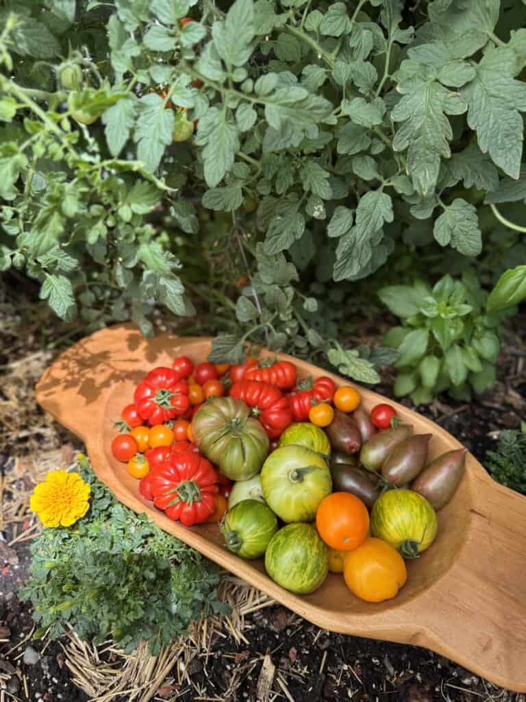 My 7 Tips for a Small-Space Garden