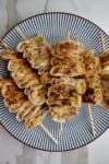 Dumpling Kebabs