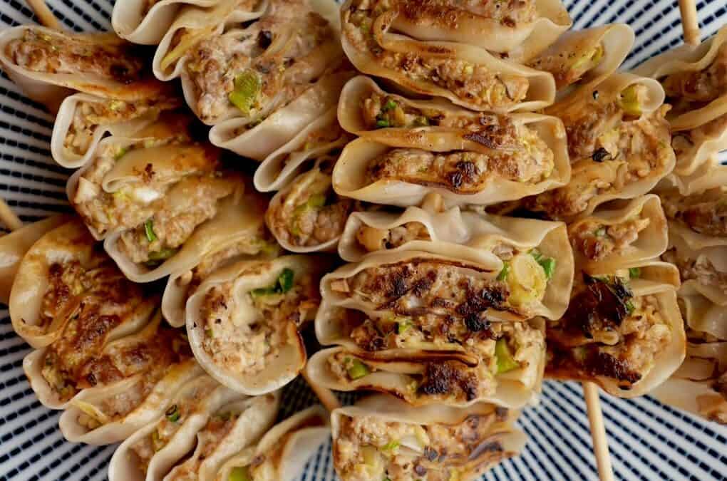 Dumpling Kebabs