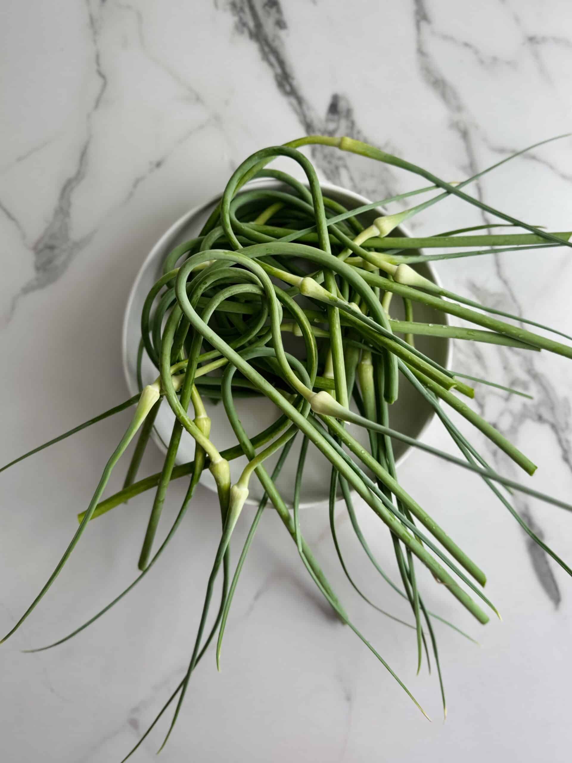 Harvesting Garlic Scapes and Making Pesto