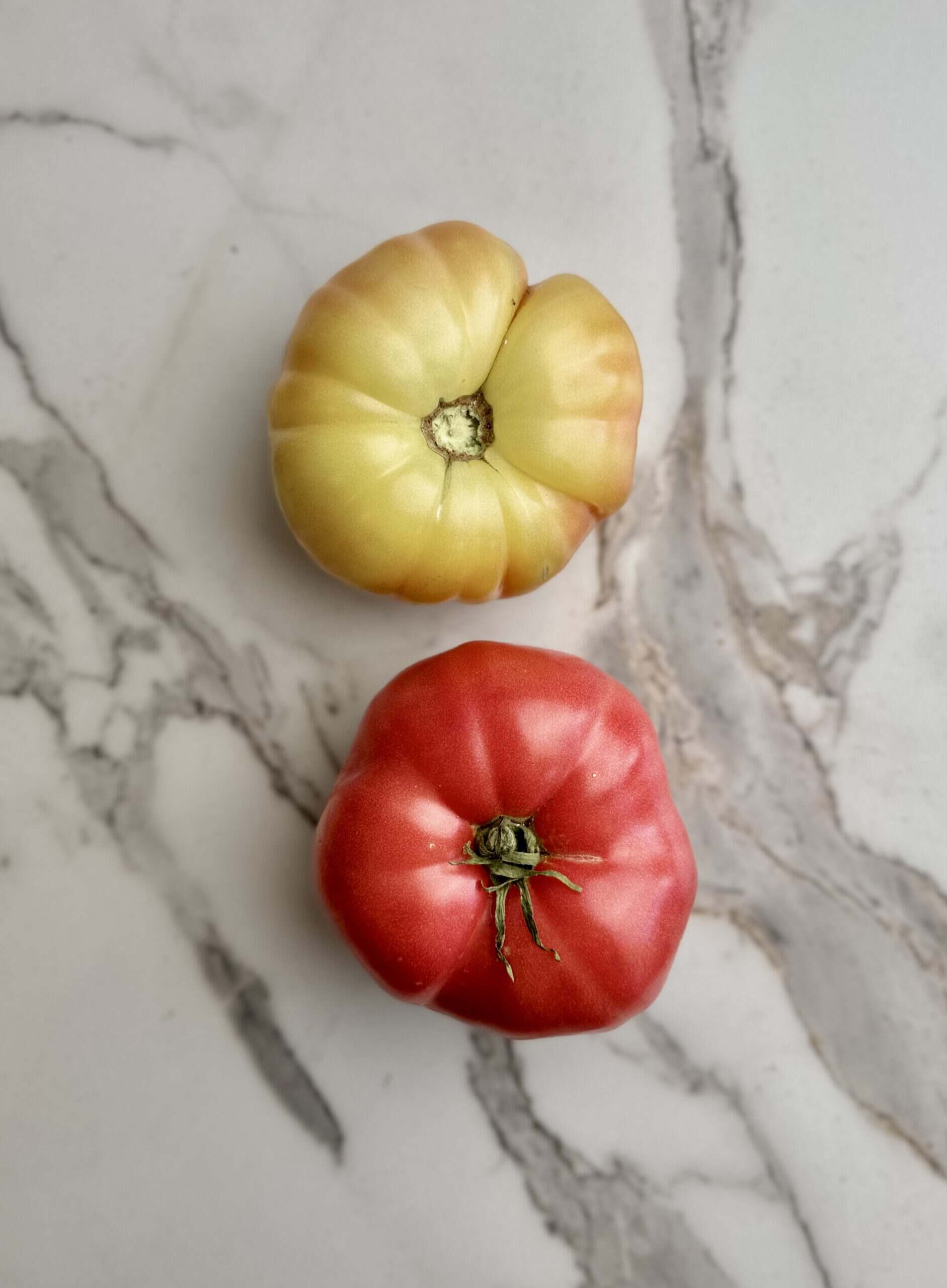Why Is My Ripe Tomato White? Did I Harvest an Albino Tomato?